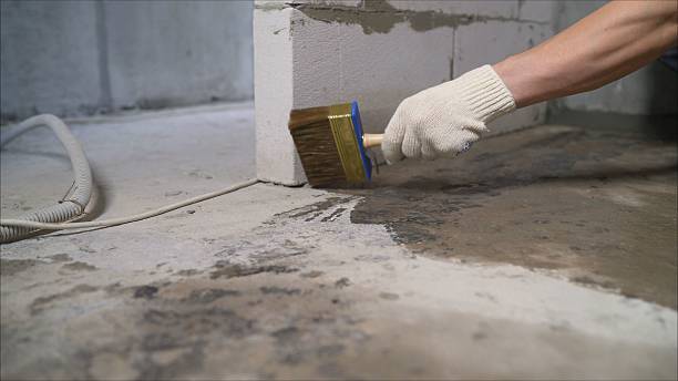 SJ Waterproofing Pros Waterproofing coverage map for Elwood, IL and surrounding area